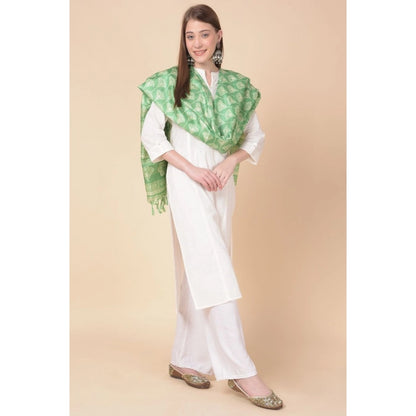 Women's Art Silk Printed Shawl (Light Green, Length: 2.25 to 2.50 Mtr)