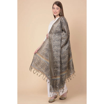 Women's Art Silk Printed Shawl (Grey, Length: 2.25 to 2.50 Mtr)