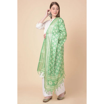Women's Art Silk Printed Shawl (Light Green, Length: 2.25 to 2.50 Mtr)